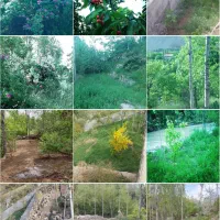 فروش زمین ۵۰ متر خانه باغ تجاری مسکونی ویلایی