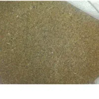 بذر یونجه