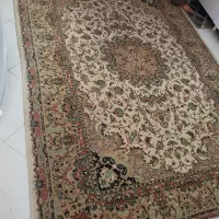 فرش ماشینی|فرش|قوچان, |دیوار
