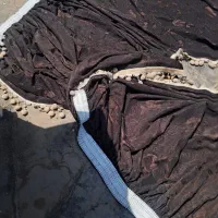 پرده  دوتایی