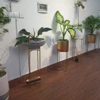 اپراتور موهای زائد بانوان