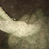 بیده دست پیچ