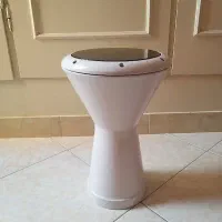 تمپو سفید درحد