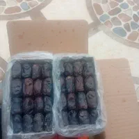 خرما بصورت خورده و عمده