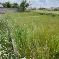 فروش زمین