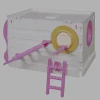 لانه عروس هلندی