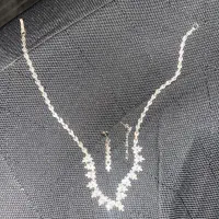 گردنبد و گوشواره نقره ۱۹گرم