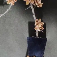 گلدان چوبی و گل پسته