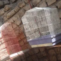 قفس بزرگ