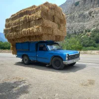 پرس گندم