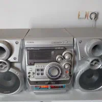 ظبط