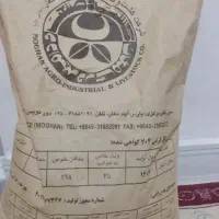 بذر ذرت 704