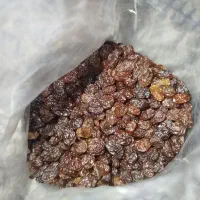 ۲۵کیلو کشمش پلویی۴۶۵بدون هسته چوب قیمت تک