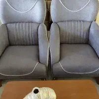 فروشنده خانم