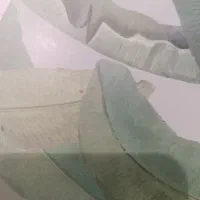 09166609005