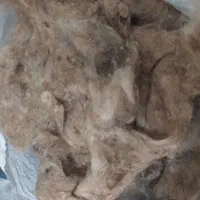 پشم گوسفند