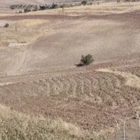 زمین-کشاورزی-ی-هکتارونیم