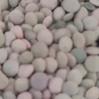 عدس طرس وگریت با کیفیت بادام درجه یک با طعم بی نظی