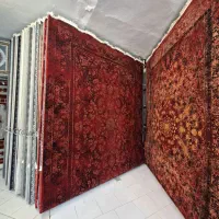 فرش۱۲متری۷۰۰شانه اصل از۲۵ ملیون به بالا حاج حسینی