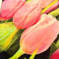 فرش ماشینی درحد نو