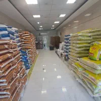 پخش عمده ی انواع برنج
