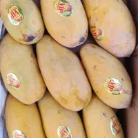 انبه پاکستانی عمده‌ای