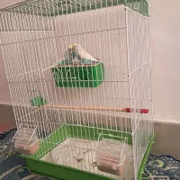 مرغ عشق فروشی