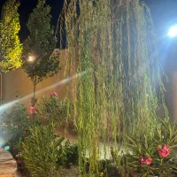 زمین  300متر دور دیوار داخل بافت شاندیز فرح اباد