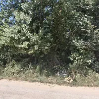 زمین ۳۵۰ متری در رودبنه