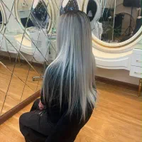 استخدام فشیال کار حرفه ای