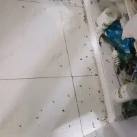 شرکت سم پاشی منازل سوسک ،ساس، موش