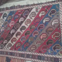 ورنی پشم