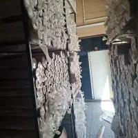 جشنواره تابستانی کاغذ دیواری باقیمت های باورنکردنی