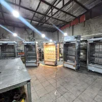 مرغ بریان و پاچینی سفارشی