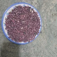 لوبیا  گرده