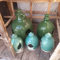 طوقی|پرنده|ساوه, |دیوار