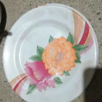 سرویس ملامین