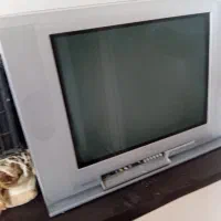 تلویزیون