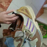 یوگی