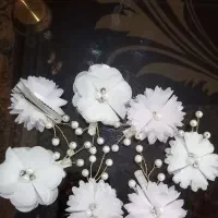 گیرسر مجلسی
