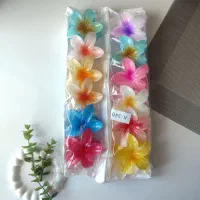 فروش کش و کلیپس به صورت جینی