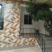 دشت سرسبز