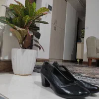 کفش مشکی درحدنوفقط یک باراستفاده شده
