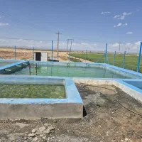 استخر ماهی  با مجوز بهر برداری