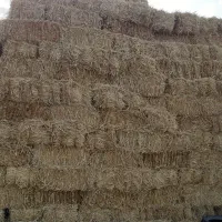 پرس علوفه یونجه. کاه عدس. کاه یونجه