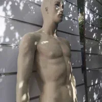 مانکن  مردونه
