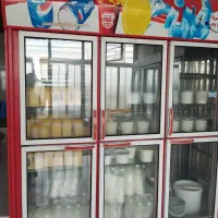 یخچال فروشگاهی سه درب دو متری