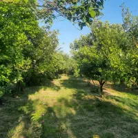 خونه باغ۱۵۰۰متر دربابلسر