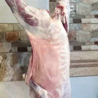 انواع دام.گوشت تازه (کیلویی و کامل) ضمانت کیفیت