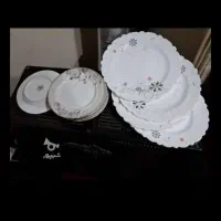چینی زرین در حد نو